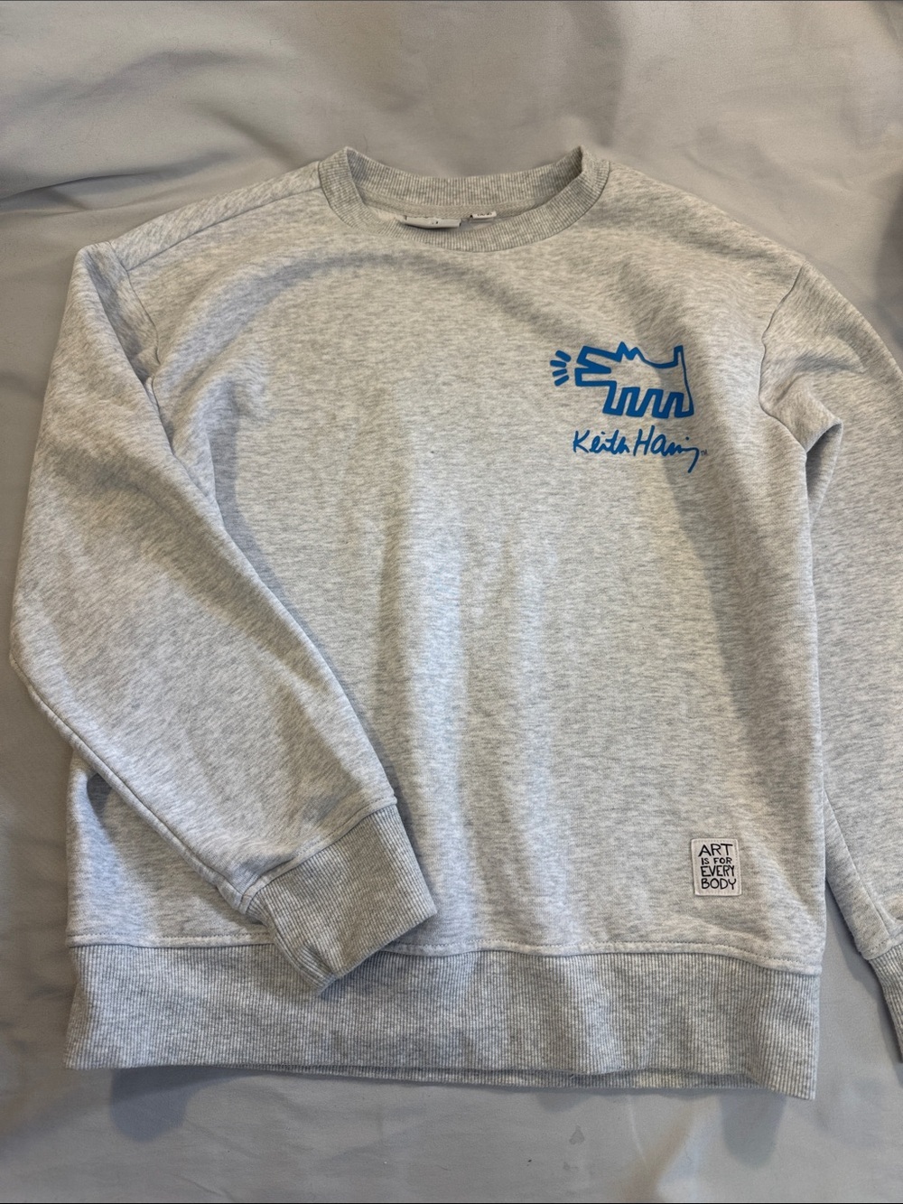 Keith Haring NWOT Kids Grey Crewneck Sweatshirt with Blue Dog Graphic